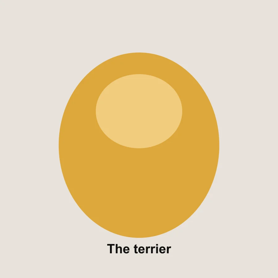The terrier